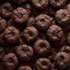 BISCUIT AU CHOCOLAT