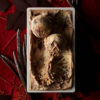 GLACE – Image 5